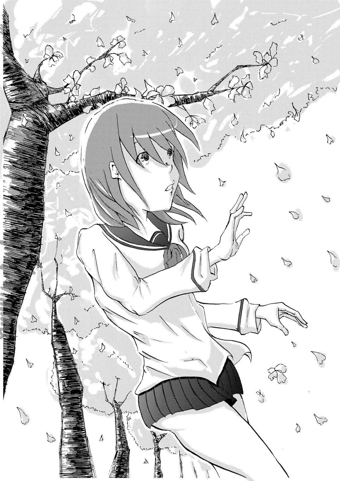 illustration mono 13.jpg